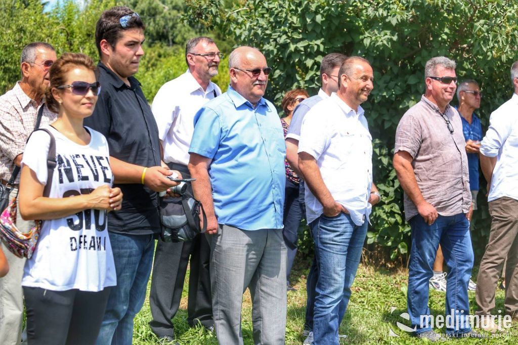 1964825710212312052333401104497