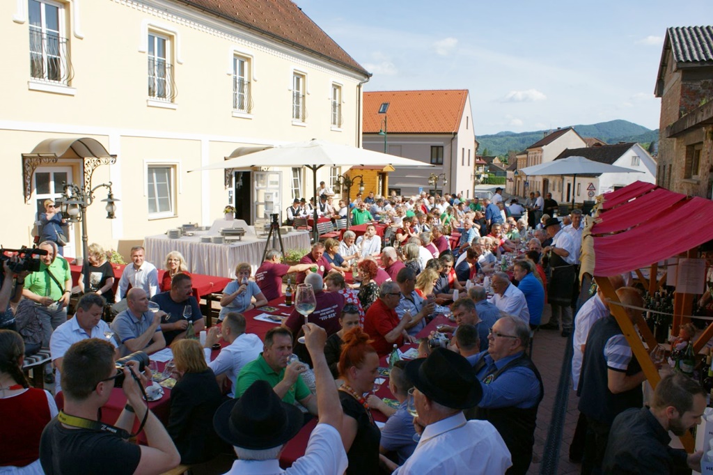 Zlatna kapljica 2022, Varaždinske Toplice
