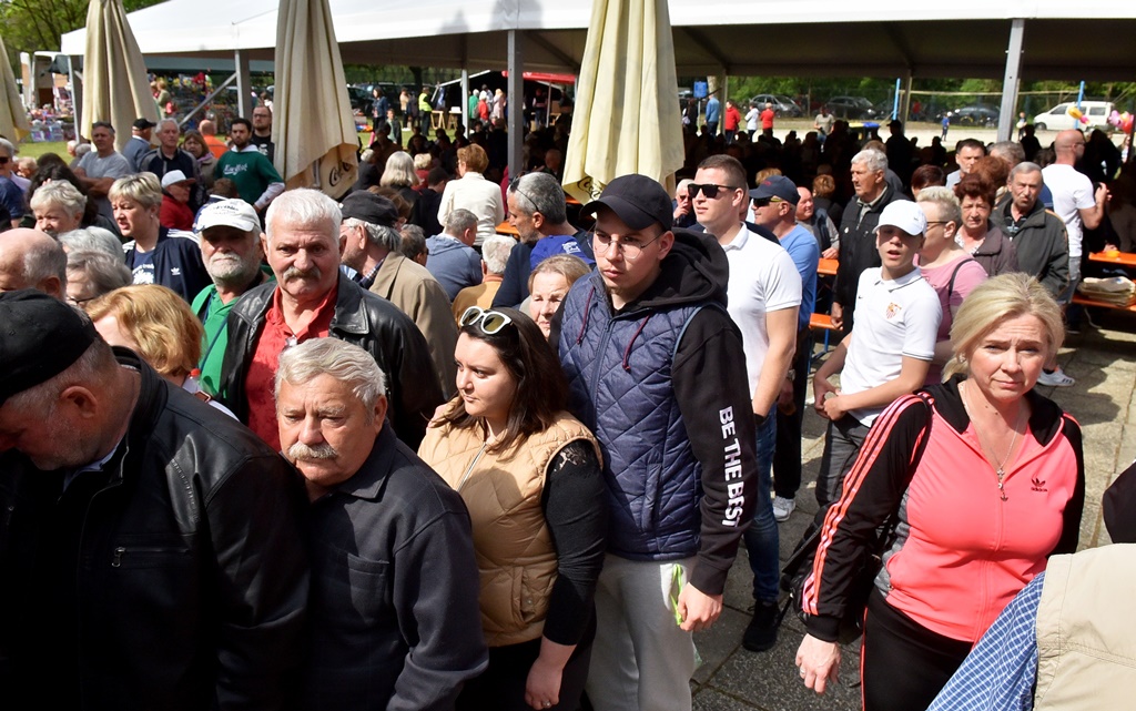 Image 5678219 (auto)