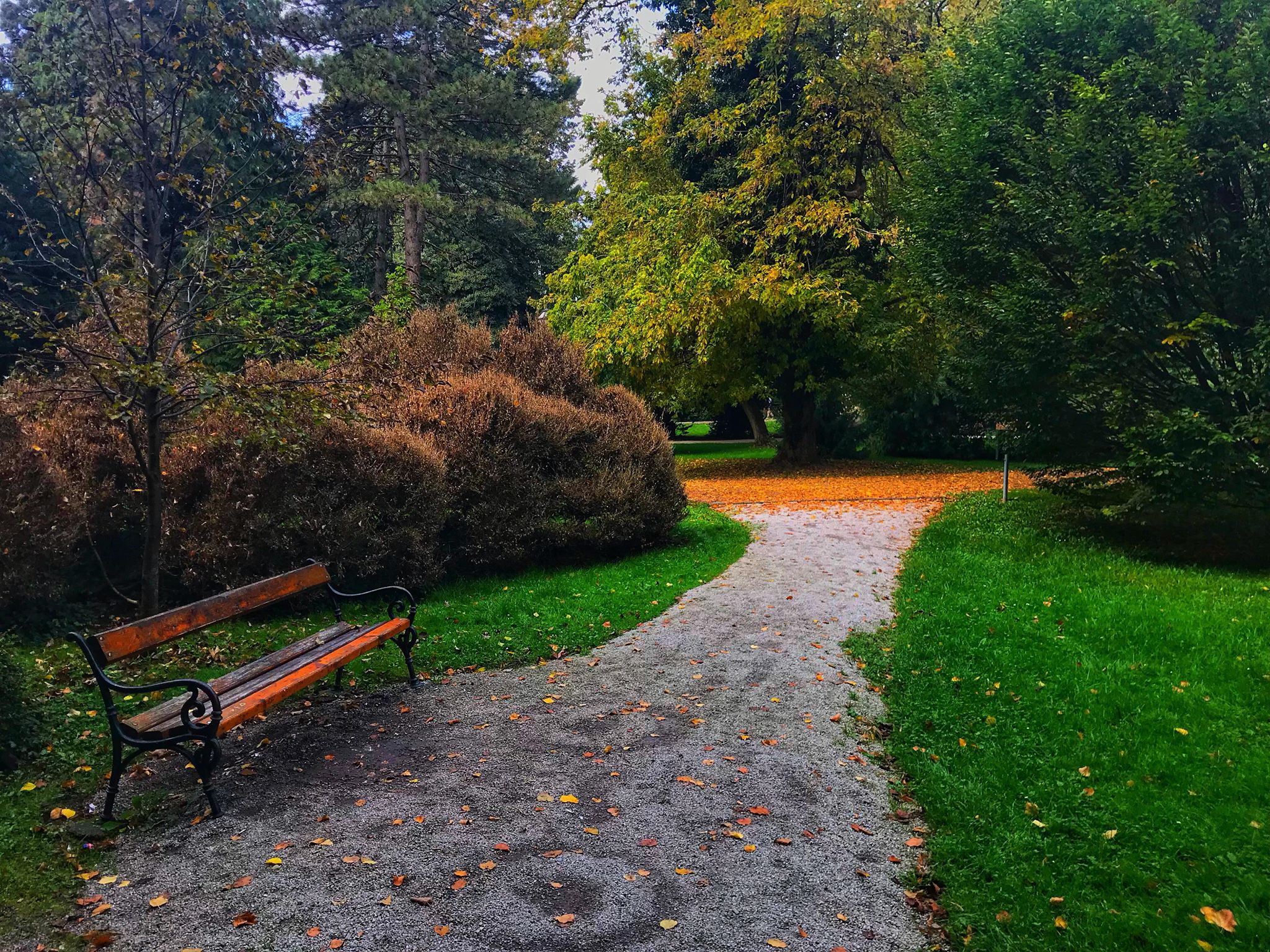 Jesen u varaždinskom parku