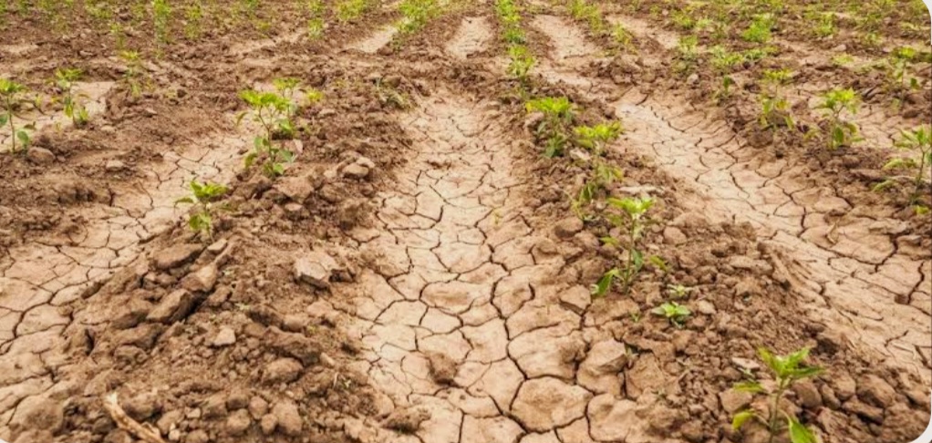 elementarna suša elementarna suša