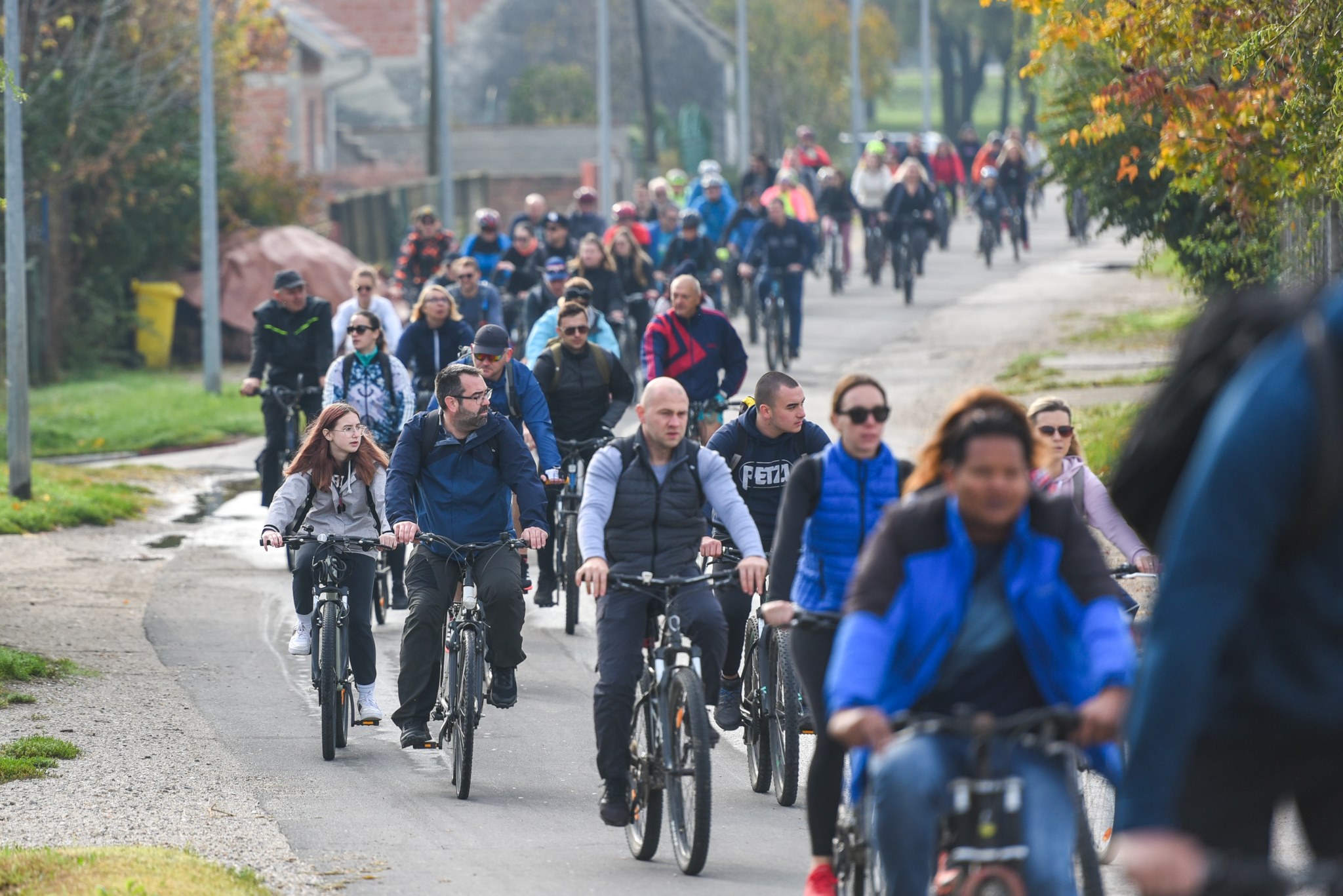 Image 5506006 (auto)