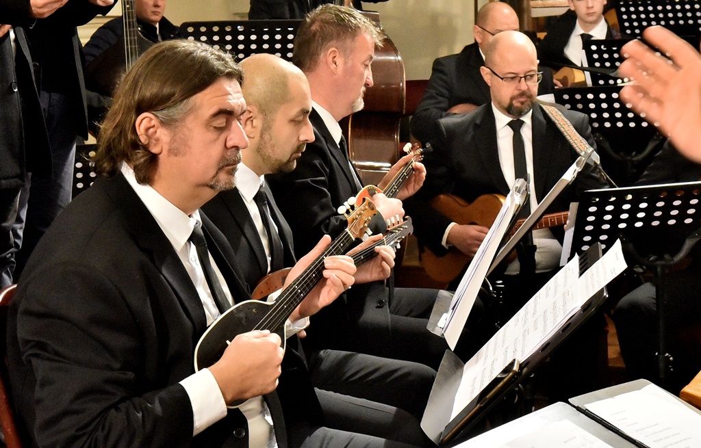 Image 5568811 (auto)