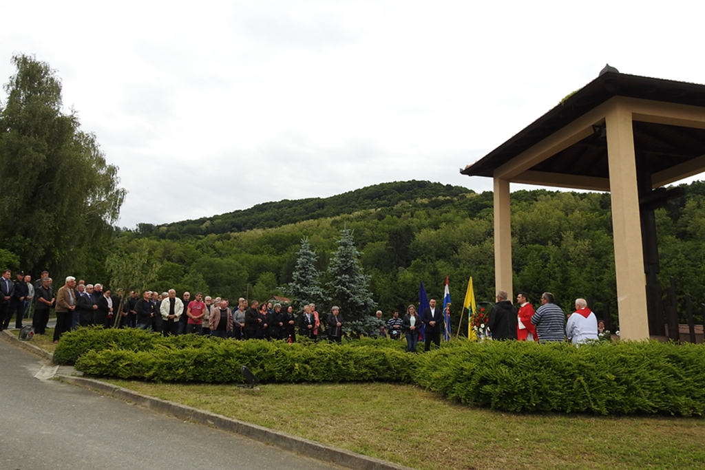 Image 4499602 (auto)