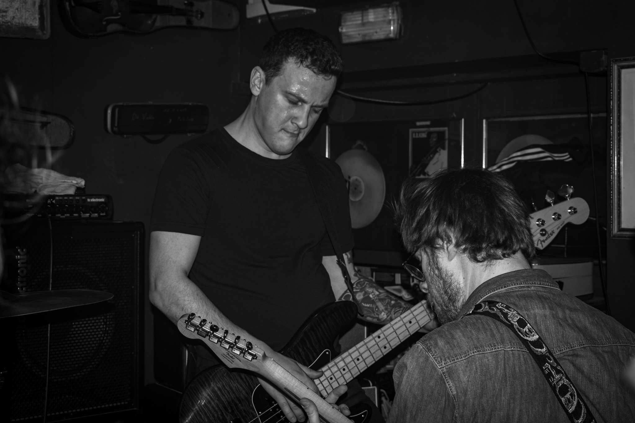 Dodger Artfool The Vipers