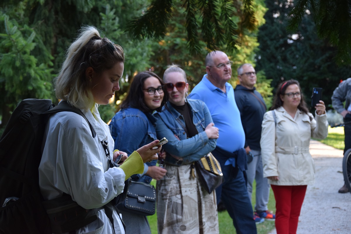 Image 4647882 (auto)