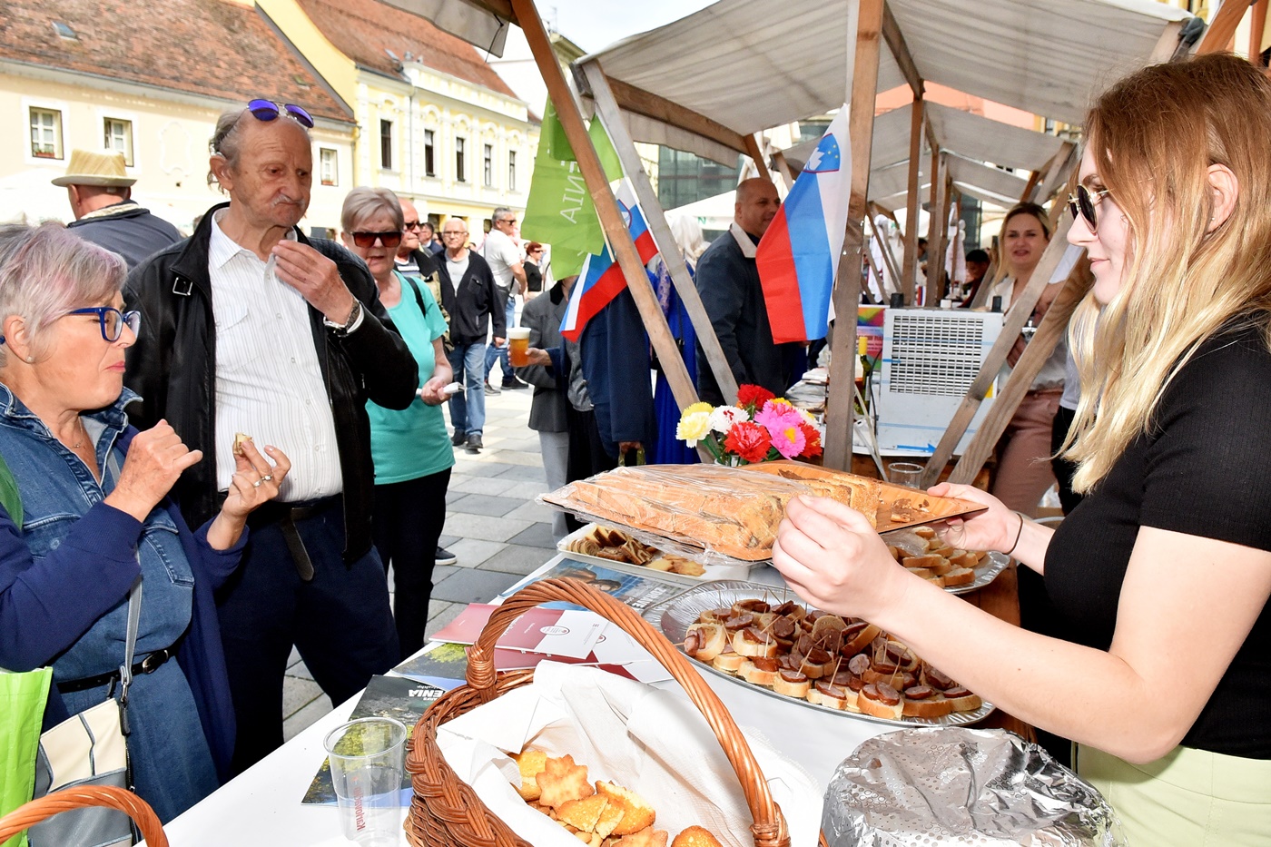 Sloveniija, Dan manjina