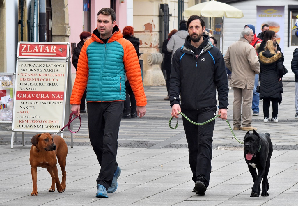 Image 4809102 (auto)