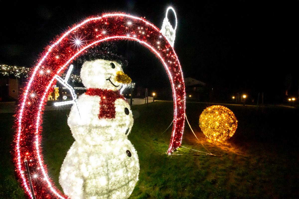 Image 5535260 (auto)