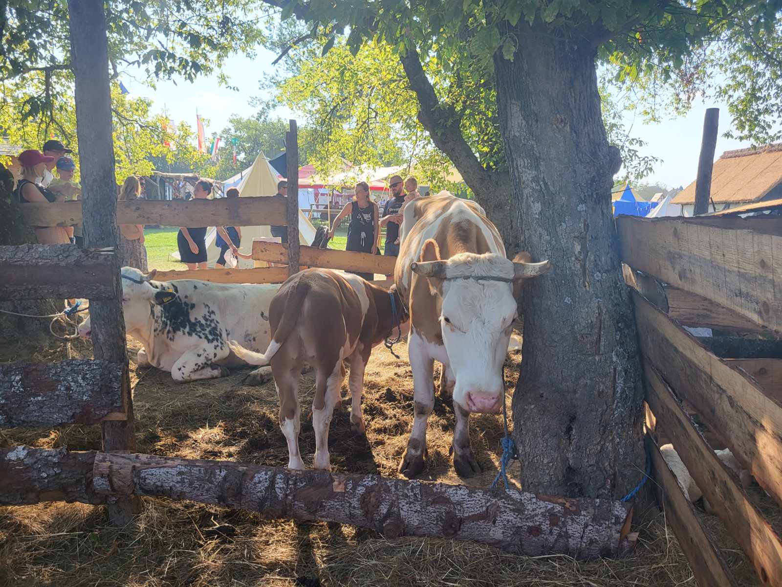 NA KOPRVNIČKIM BEDEMIMA Renesansni festival i ove godine privukao mnoštvo posjetitelja