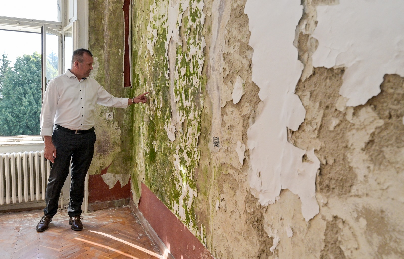 Image 5425486 (auto)