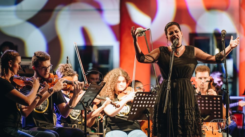 Image 5816985 (auto)