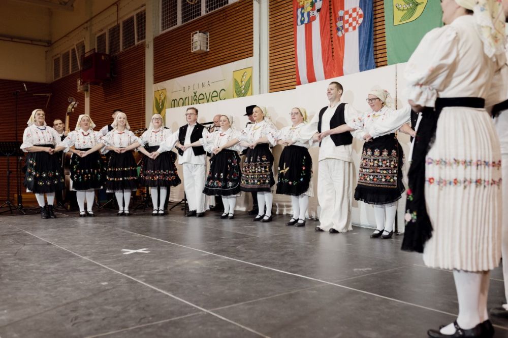 Image 5911831 (auto)