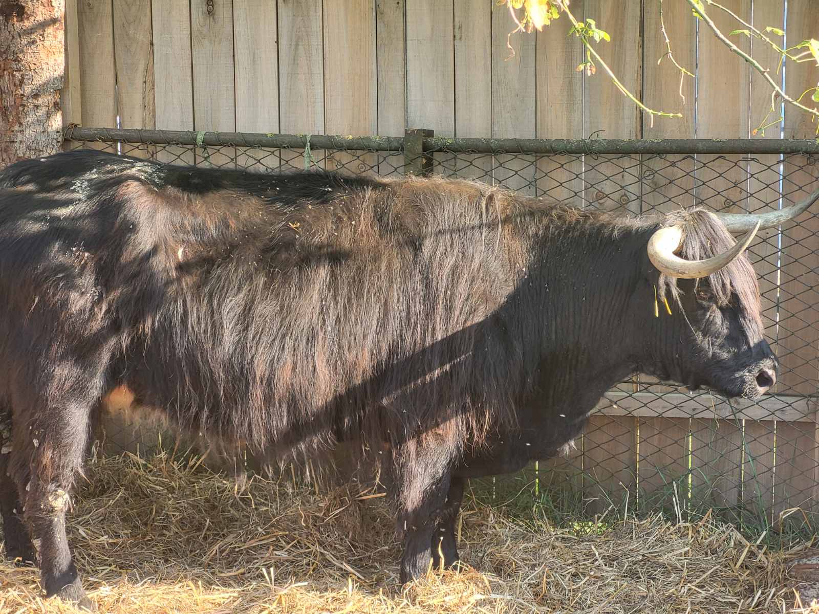 NA KOPRVNIČKIM BEDEMIMA Renesansni festival i ove godine privukao mnoštvo posjetitelja