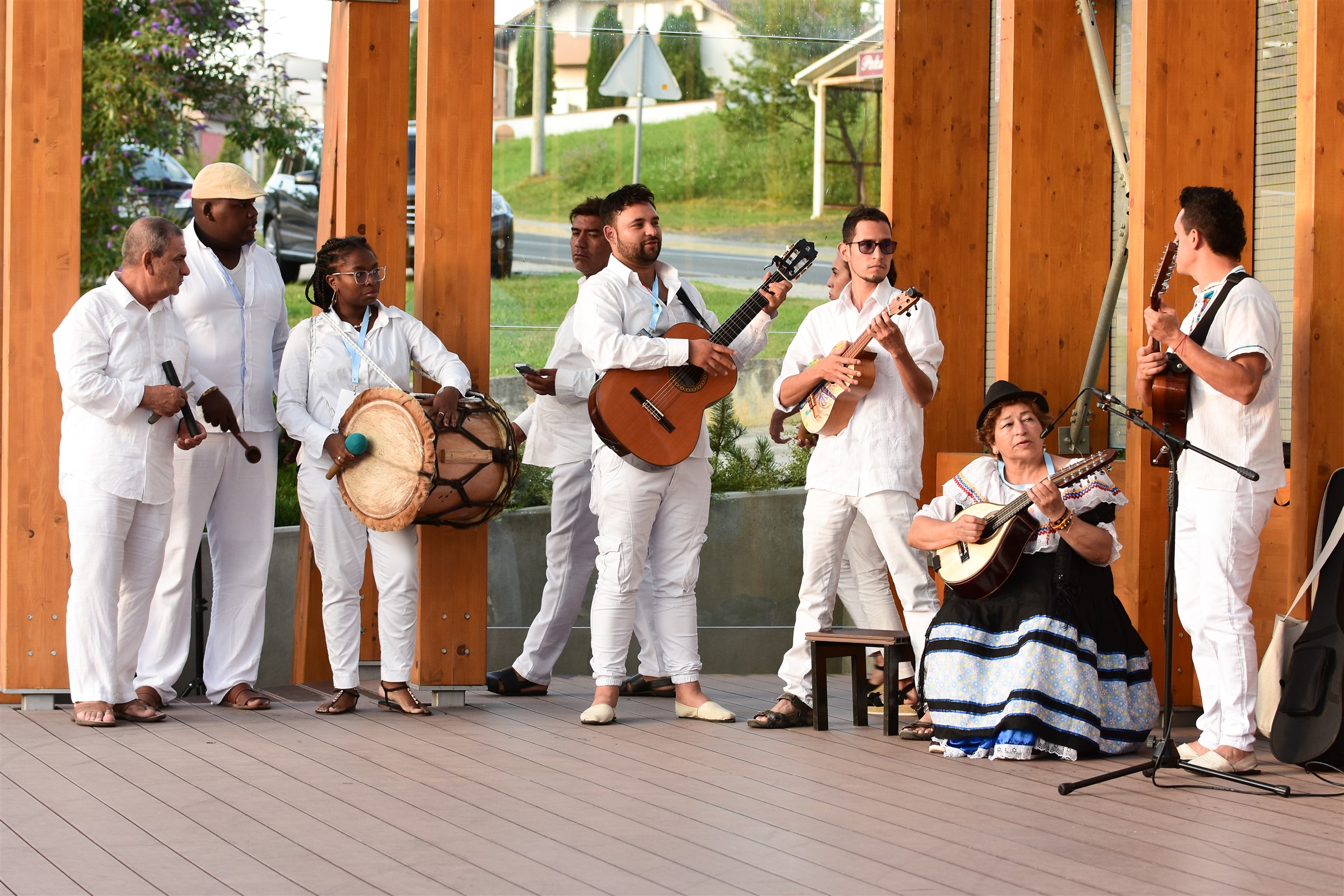 Image 5419024 (auto)