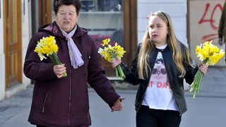 Dan narcisa Dan narcisa