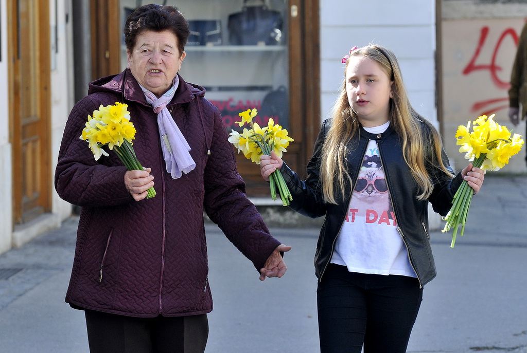 Dan narcisa Dan narcisa