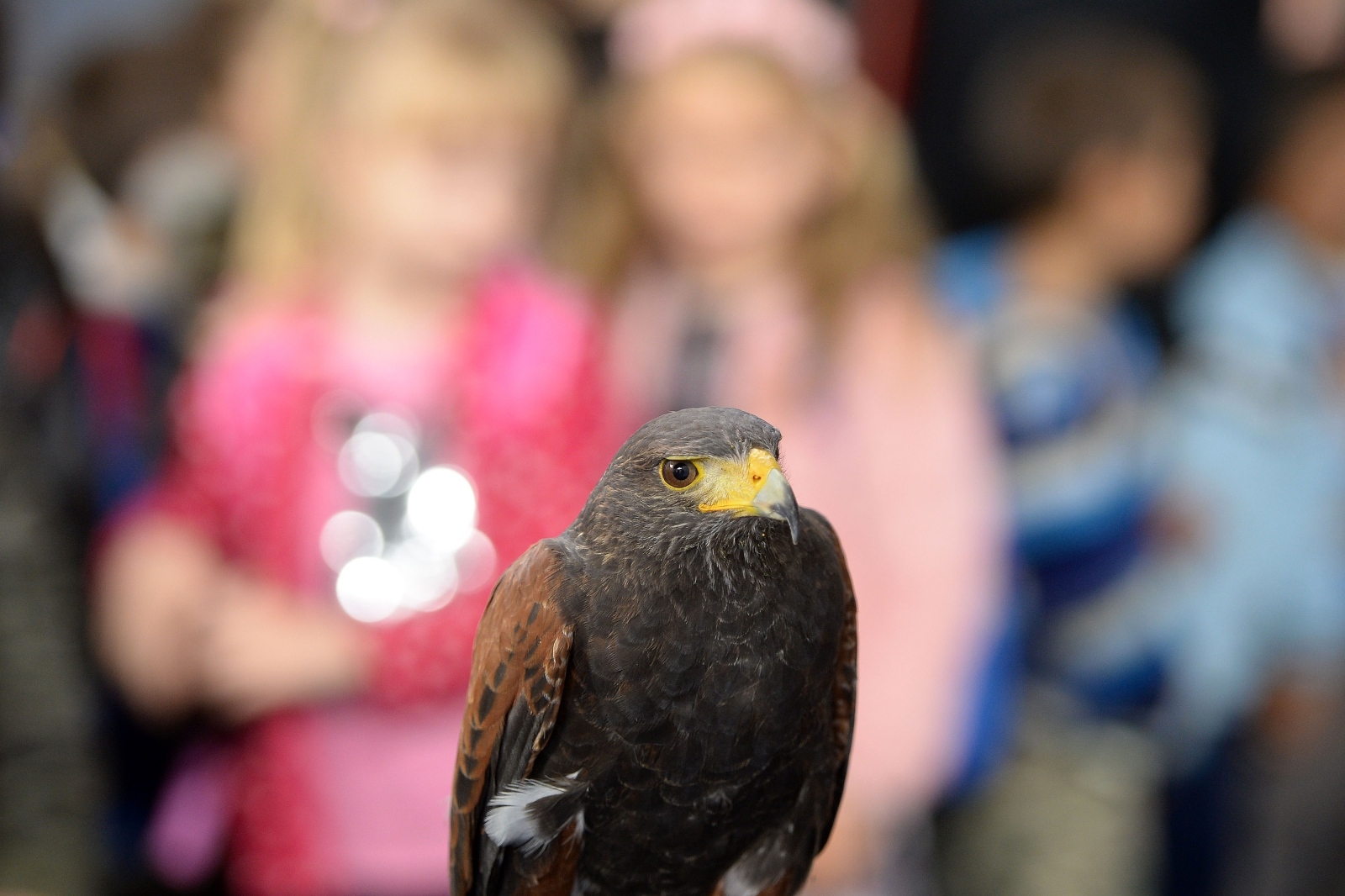 23. Sajam priroda, lov, ribolov, turizam