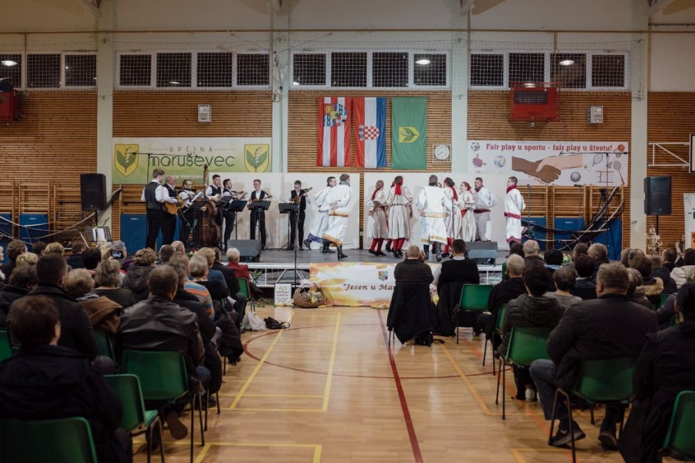 Image 5911841 (auto)