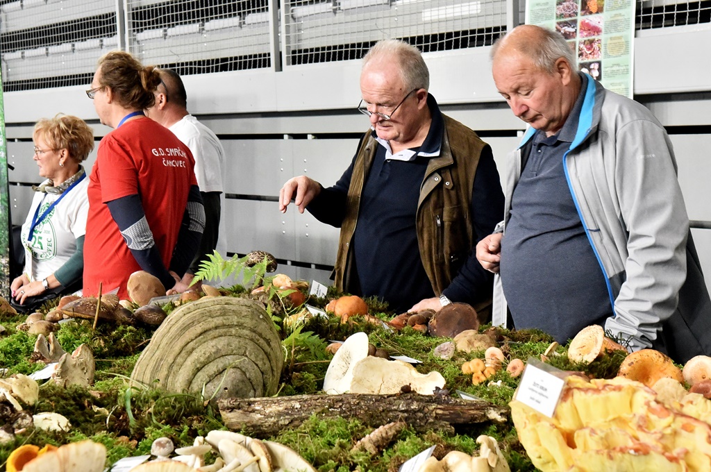 Sajam Lov ribolov priroda turizam