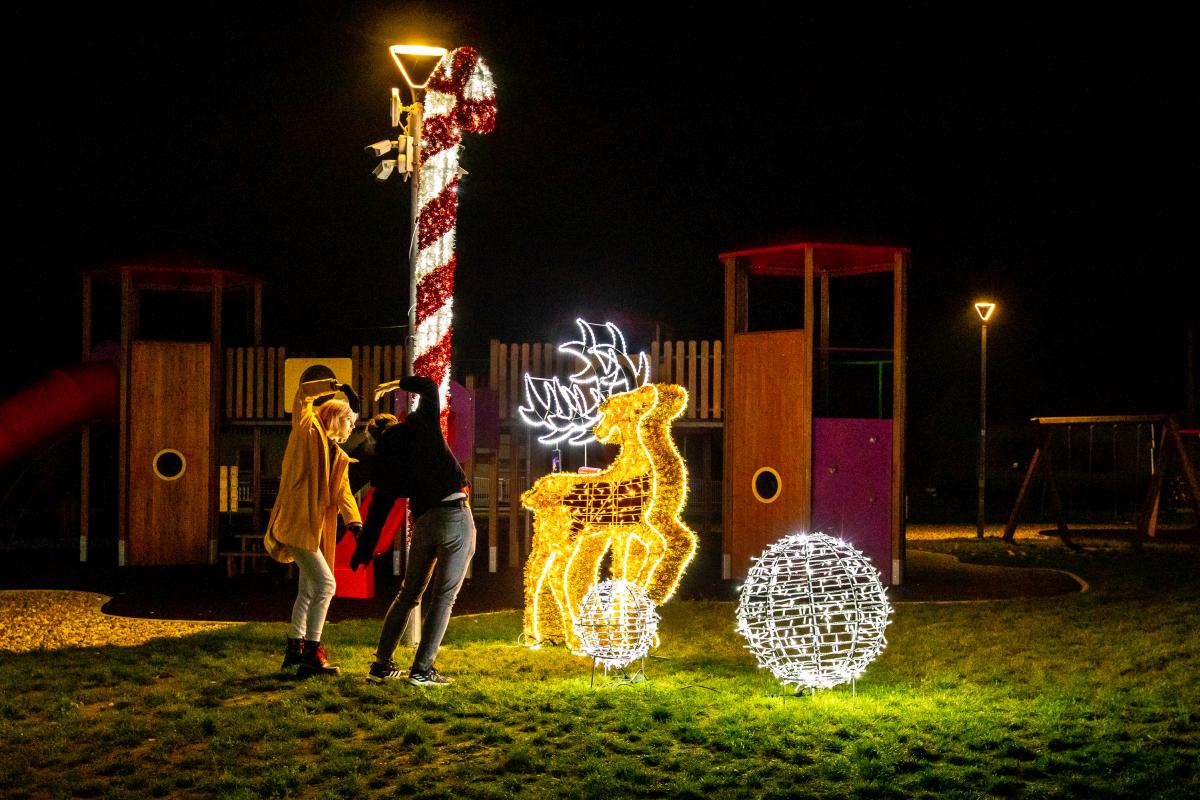 Image 5535250 (auto)