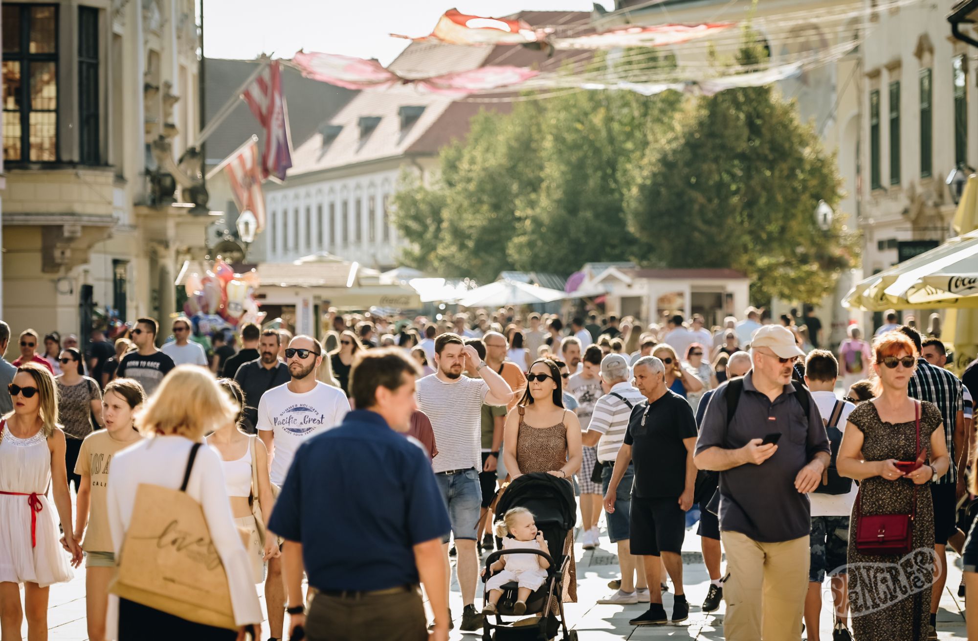 Image 5808857 (auto)