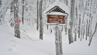 Ivanščica snijeg zima prognoza planina šuma