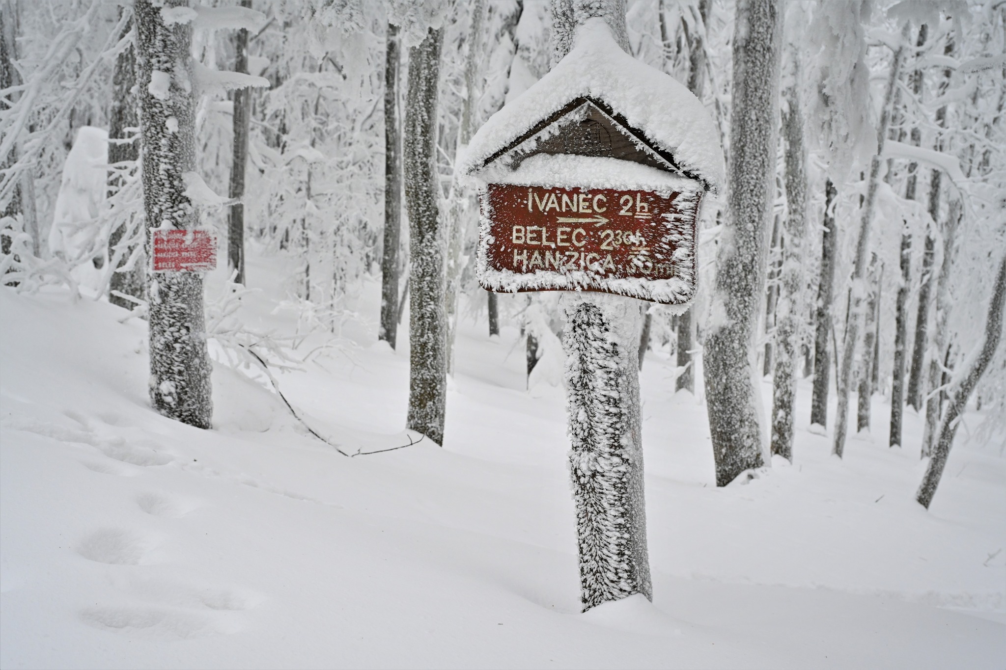 Ivanščica snijeg zima prognoza planina šuma