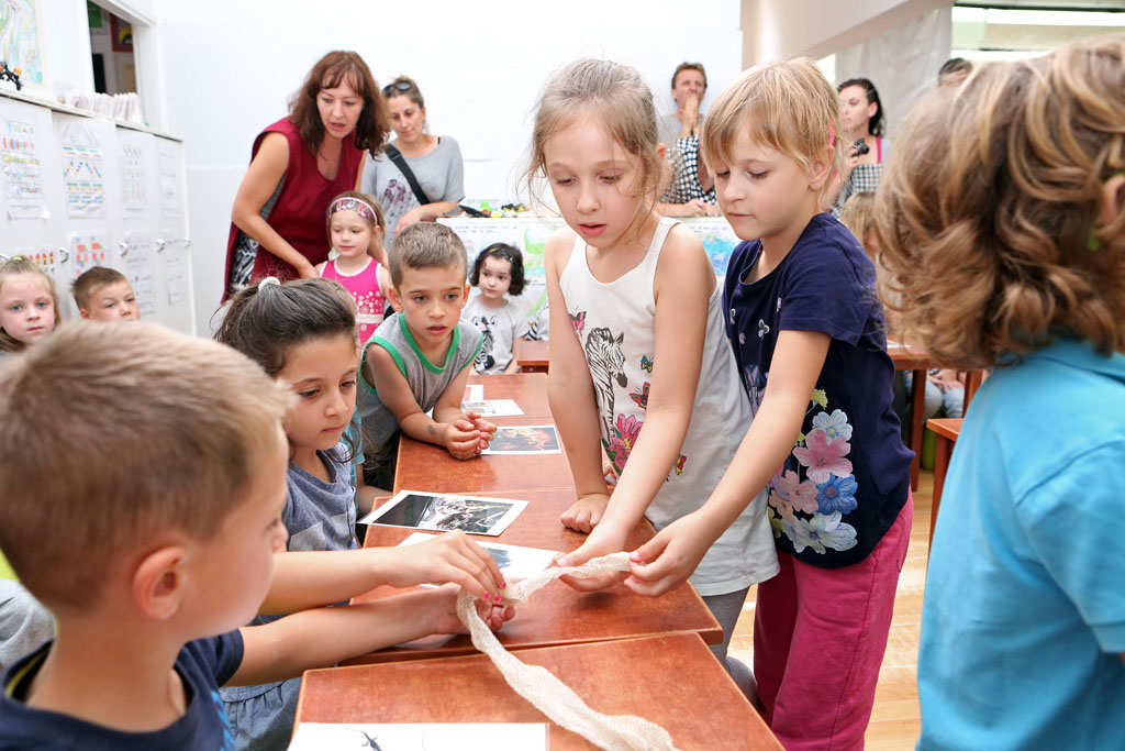 zmijedjecjivrtic1995514