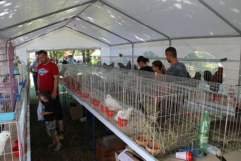 lepoglavskidani2009207655