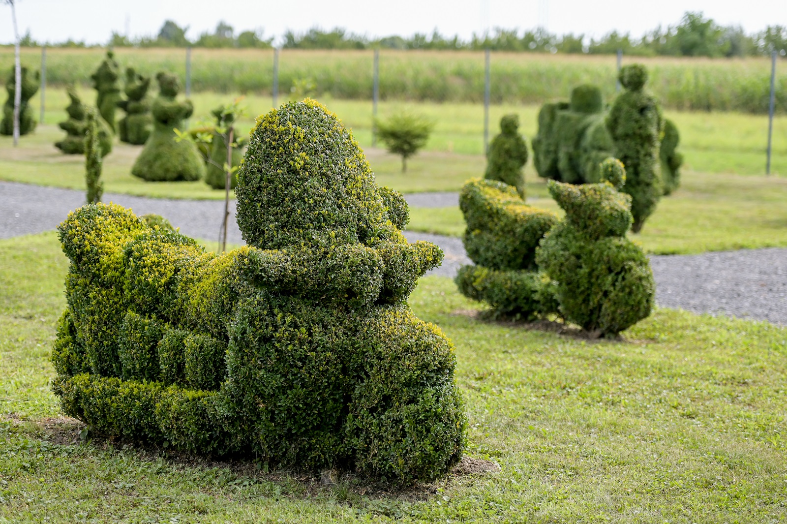 topiary