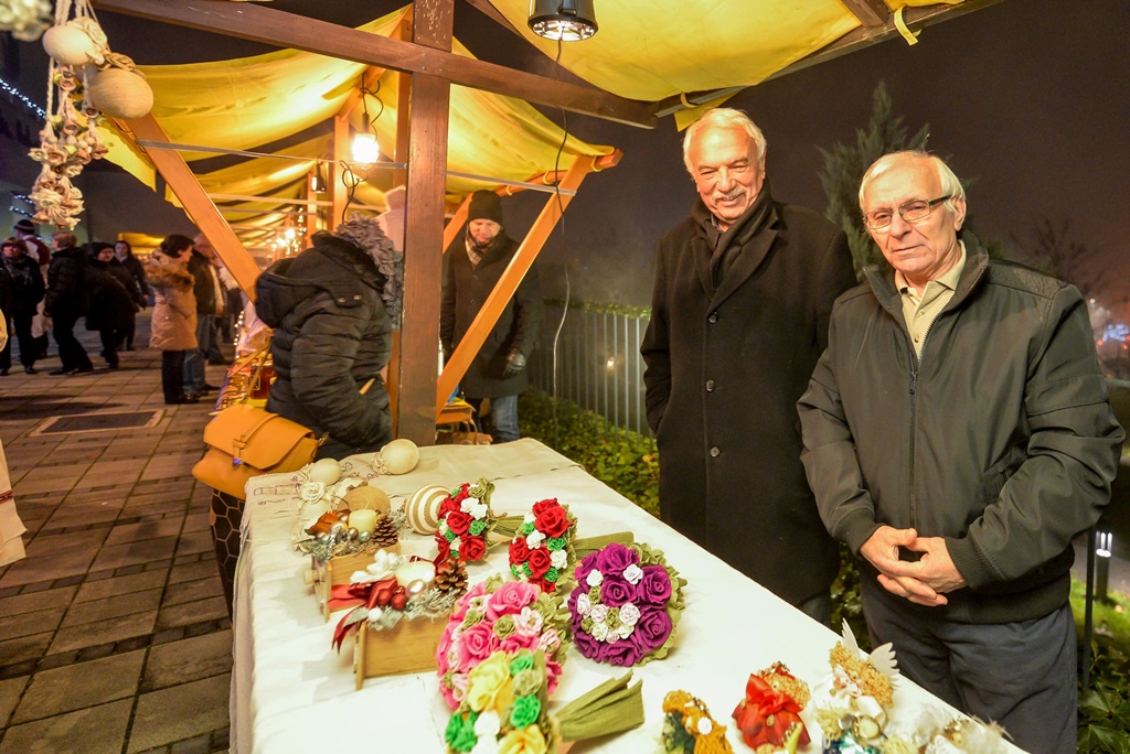 Grad Novi Marof Grad Novi Marof