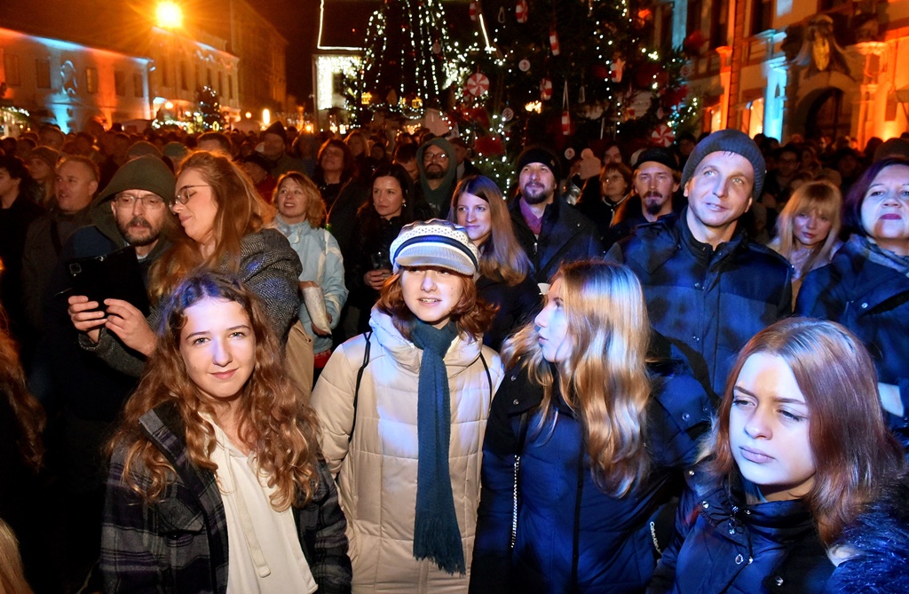 Image 5533348 (auto)