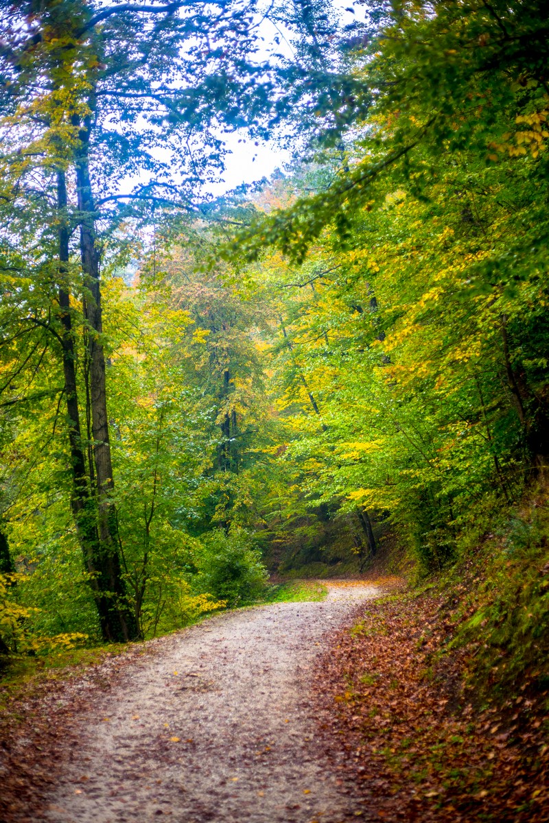 Jesen u Trakošćanu