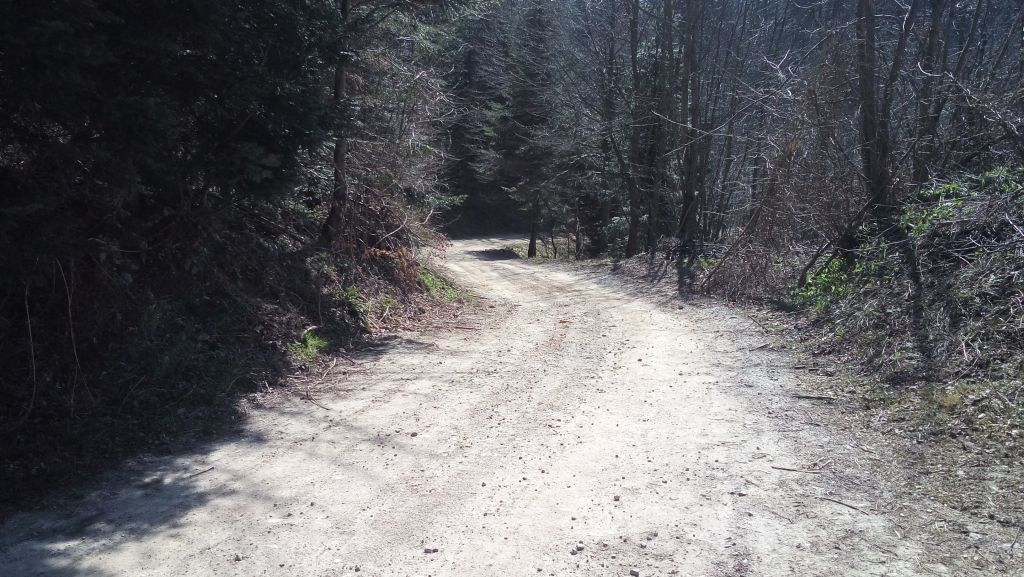 20150411110341664574