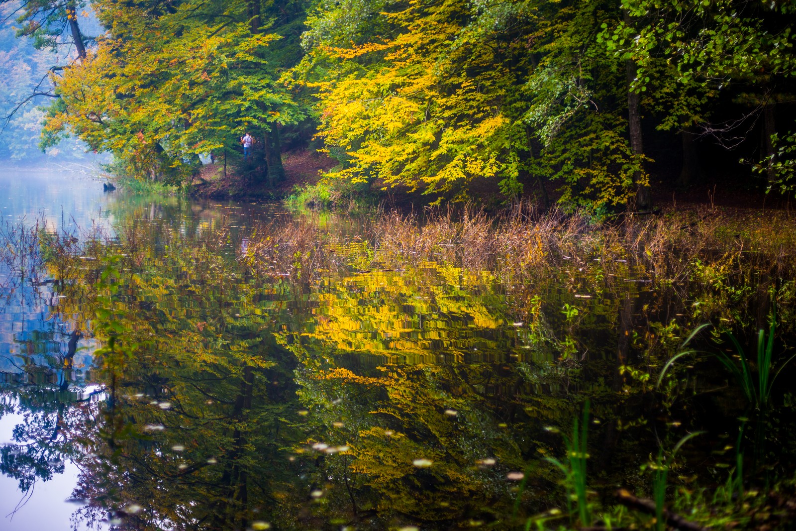 Jesen u Trakošćanu
