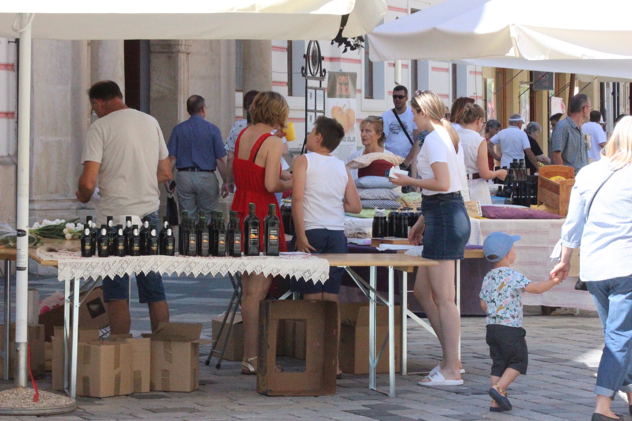 Image 3705055 (auto)