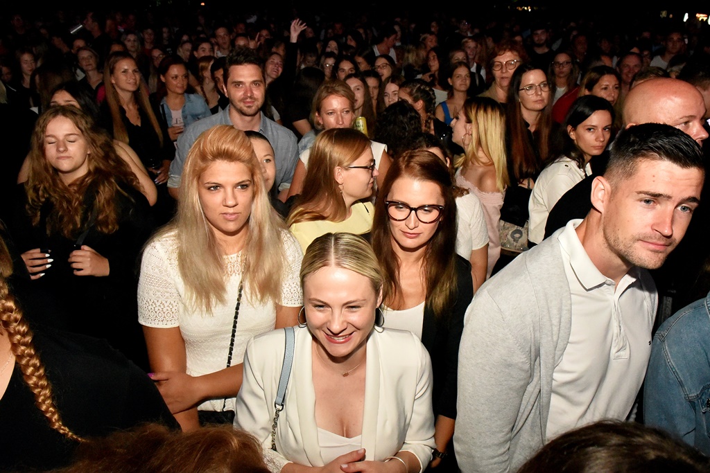 Image 5452518 (auto)