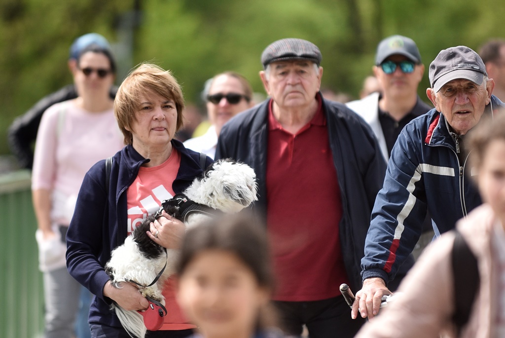 Image 5678259 (auto)