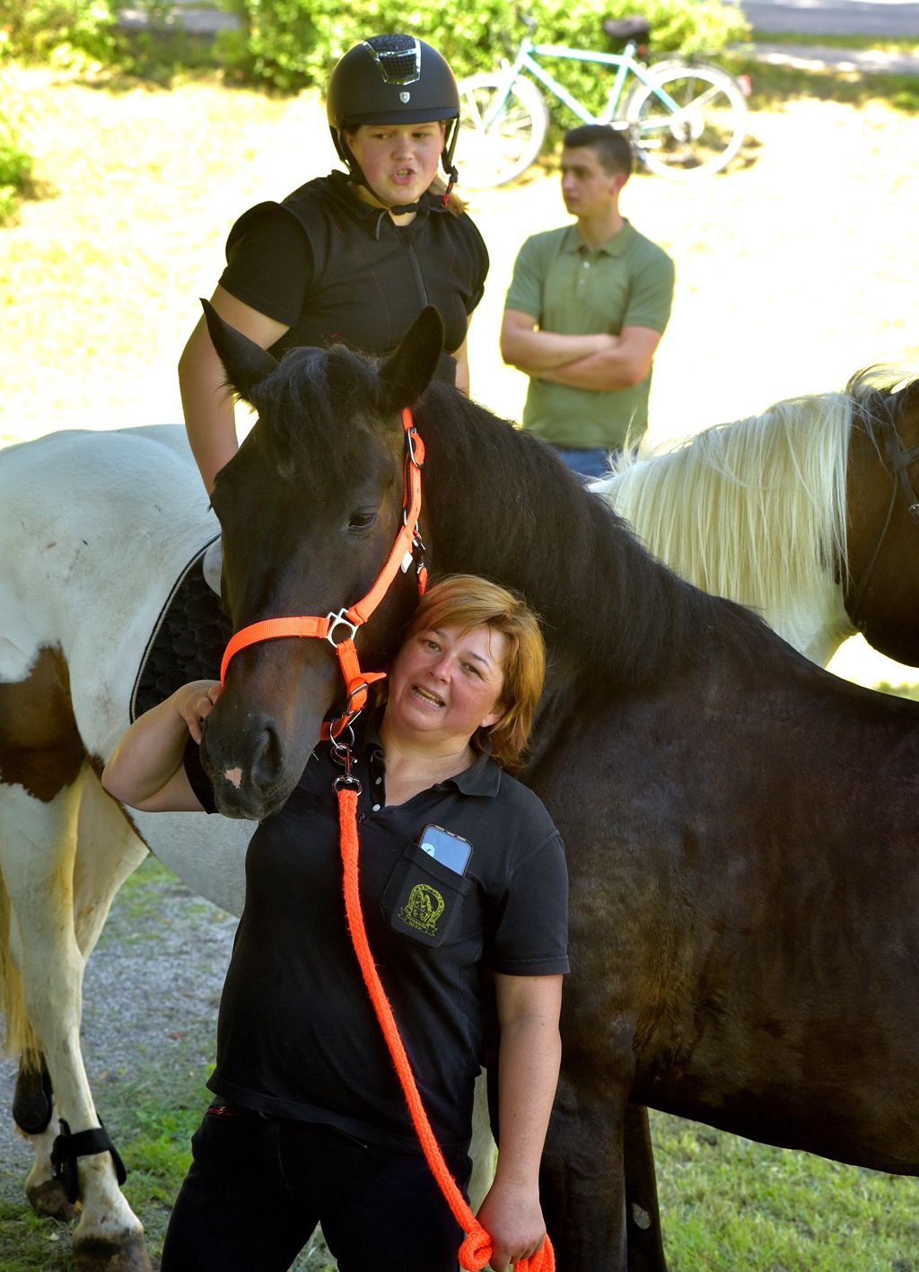 Image 5377160 (auto)