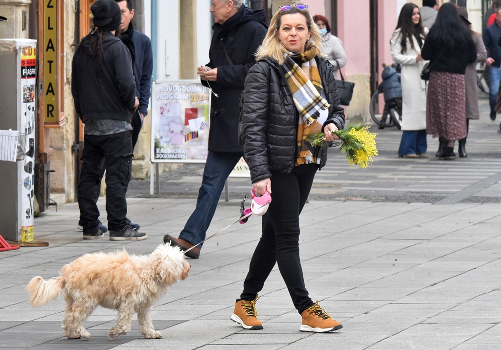 Image 4809100 (auto)