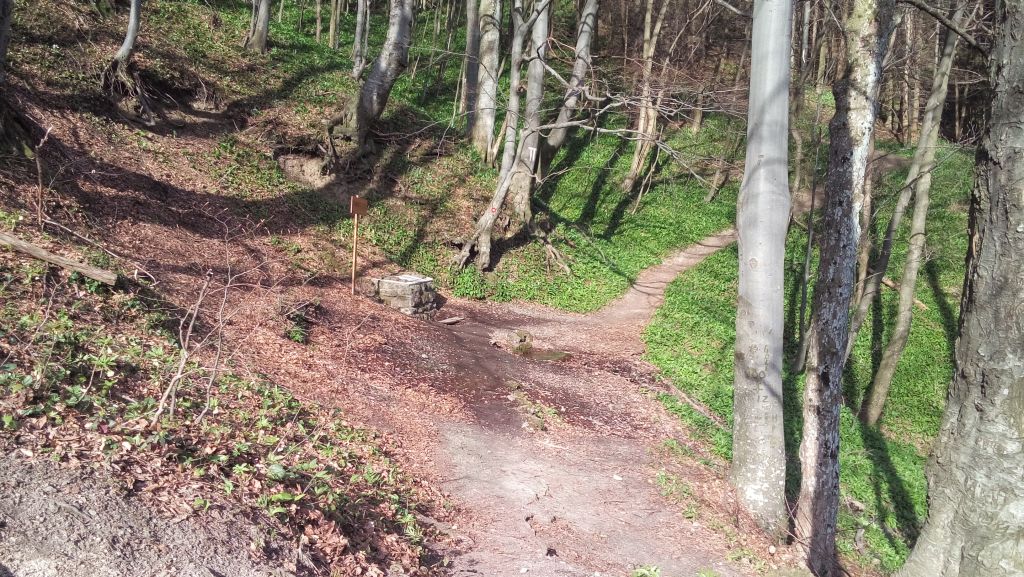 20150411090533614152