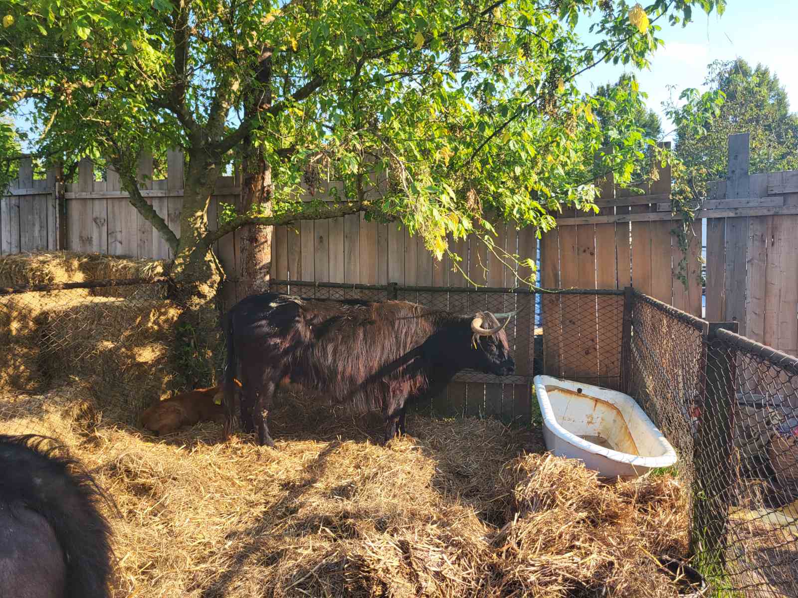 NA KOPRVNIČKIM BEDEMIMA Renesansni festival i ove godine privukao mnoštvo posjetitelja