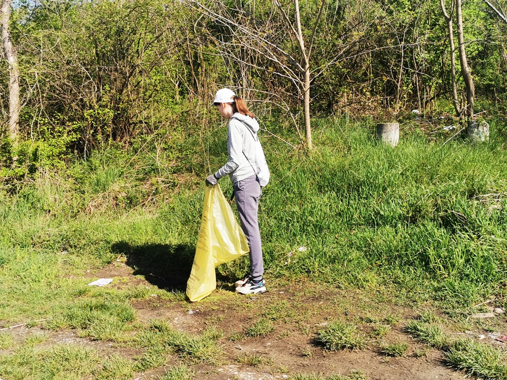 Image 5666883 (auto)