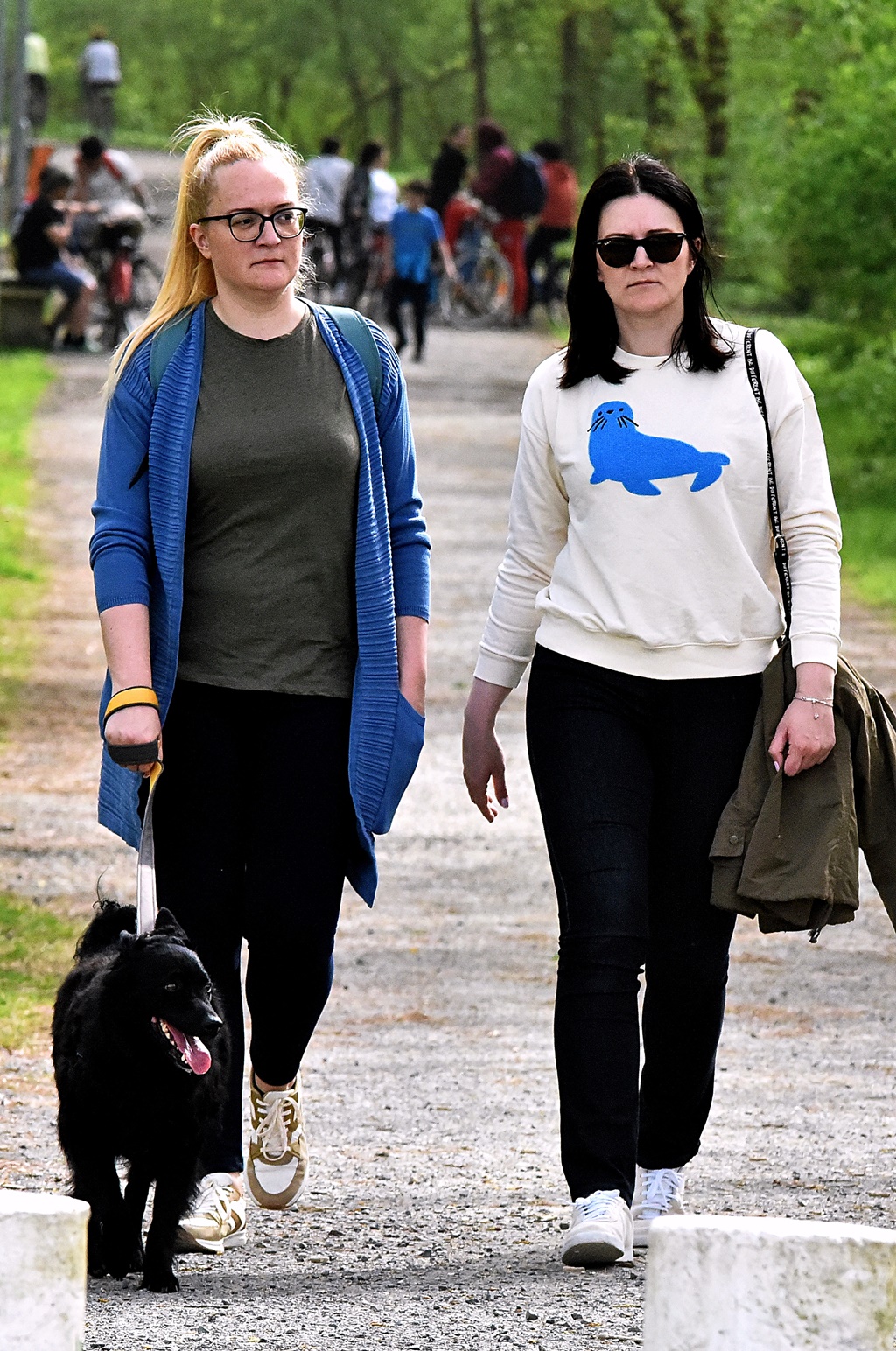 Image 6004949 (auto)