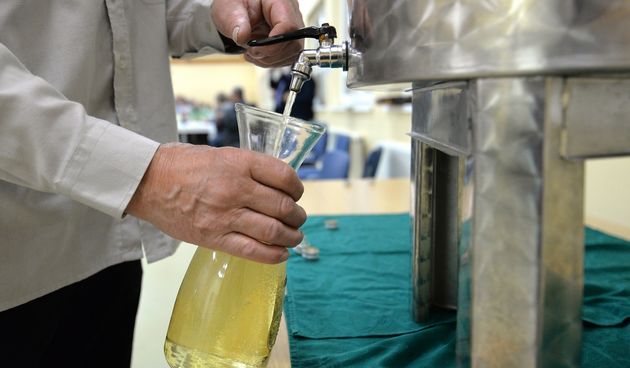 Martinje u Poljani Biškupečkoj Martinje u Poljani Biškupečkoj