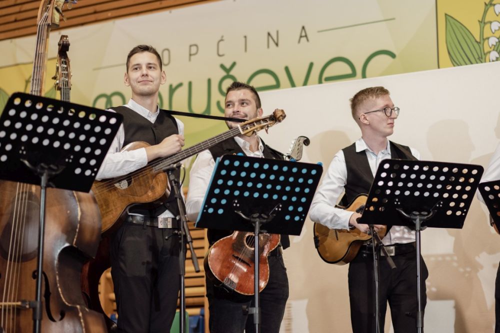 Image 5911797 (auto)