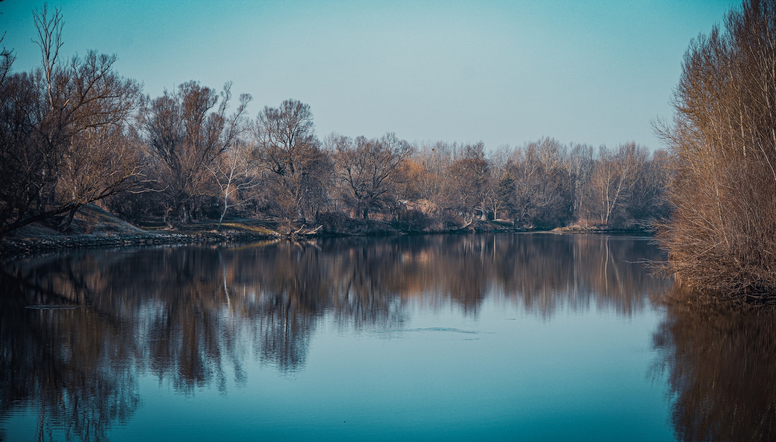 Drava, dravska špica, zima 21.1.2020.