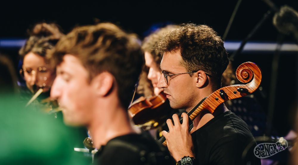 Image 5817019 (auto)