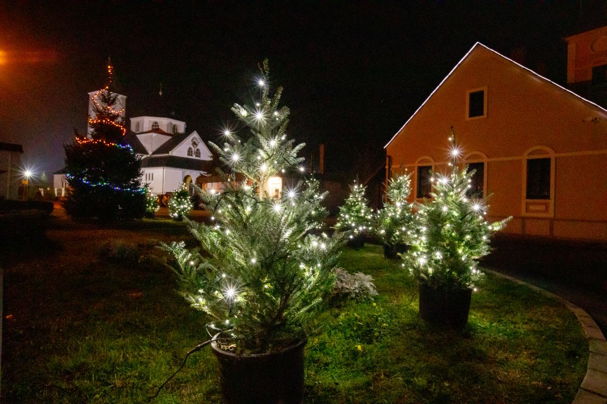 Image 5535218 (auto)